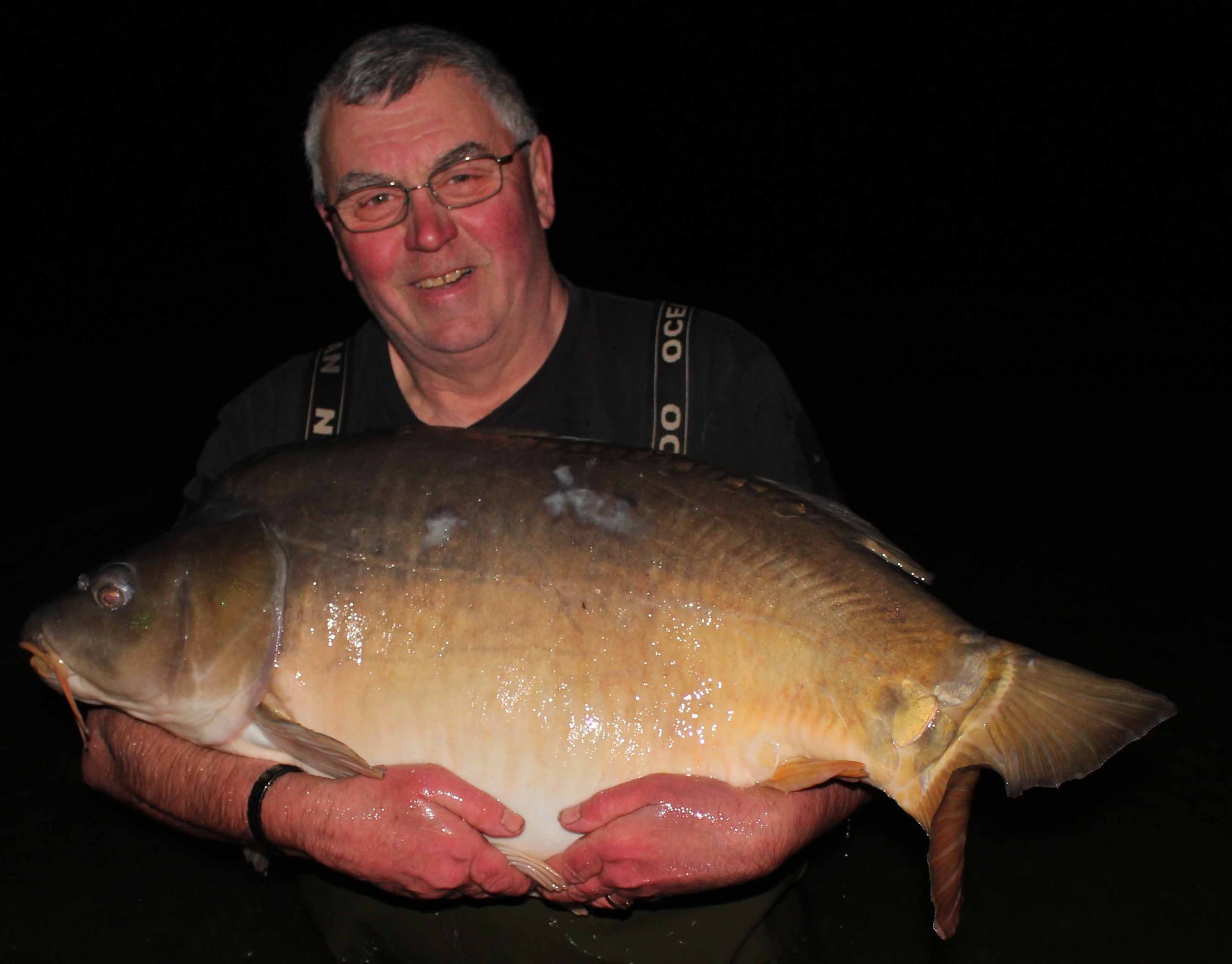 The Toon 51lb